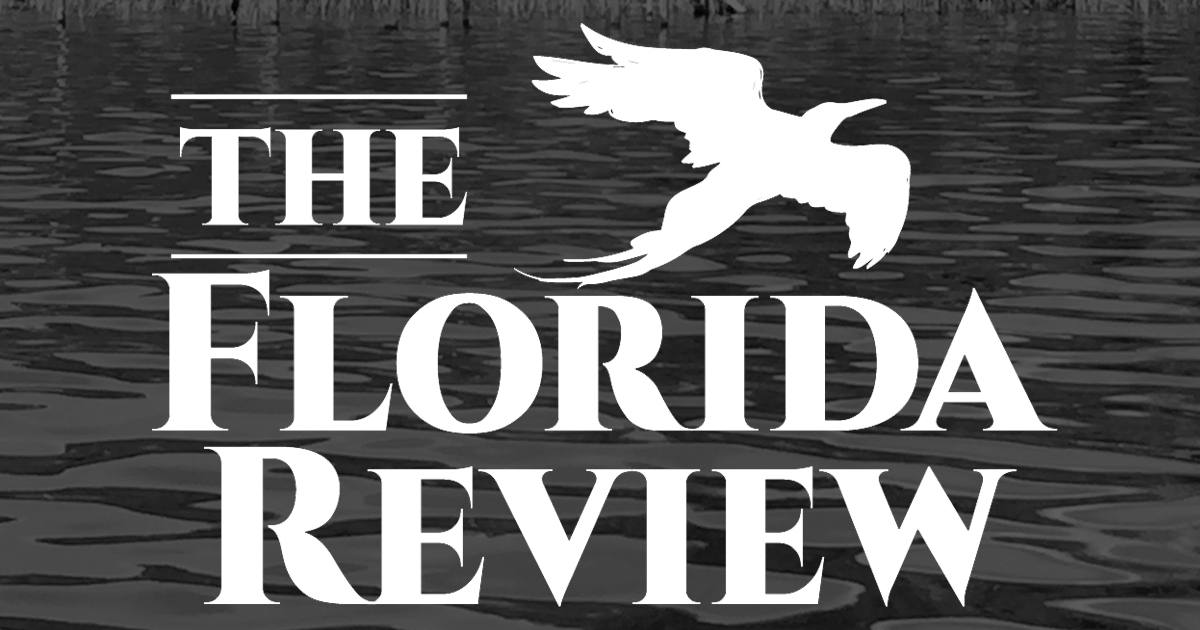 Florida Review – Submissions cover artwork