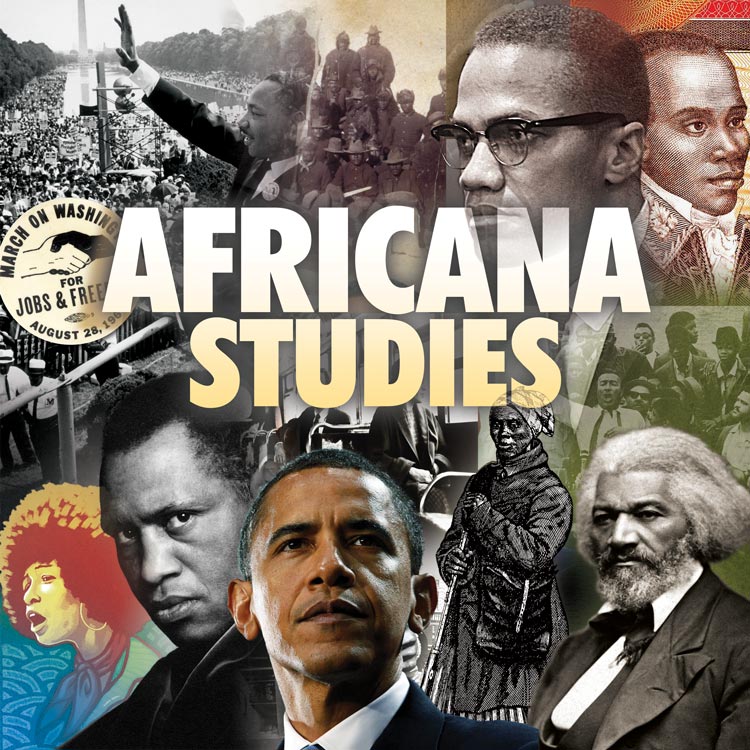 africana studies phd programs usa