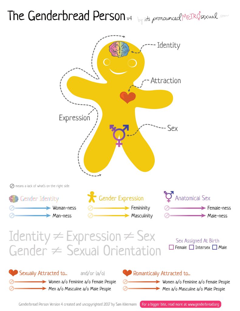 A graphic of the Genderbread Person, a research tool that Garrison used to explain the difference between gender and sexuality