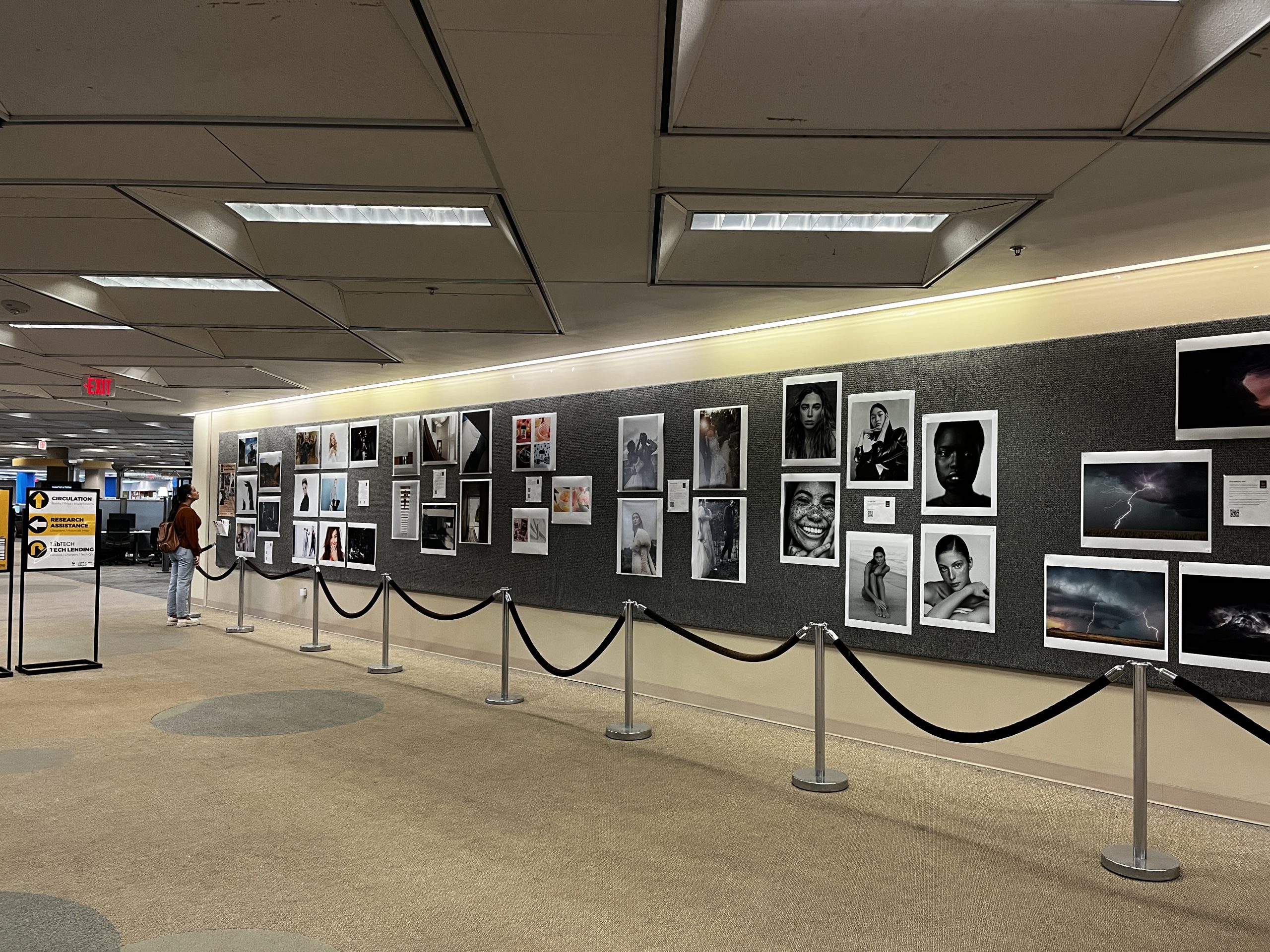 John C. Hitt Library Hosts Exhibition Featuring UCF B.S. In Photography ...