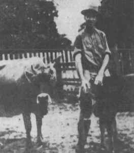 A clip from the Orlando Evening Star shows T.G. Lee with the cow and calf with which he started his dairy business.