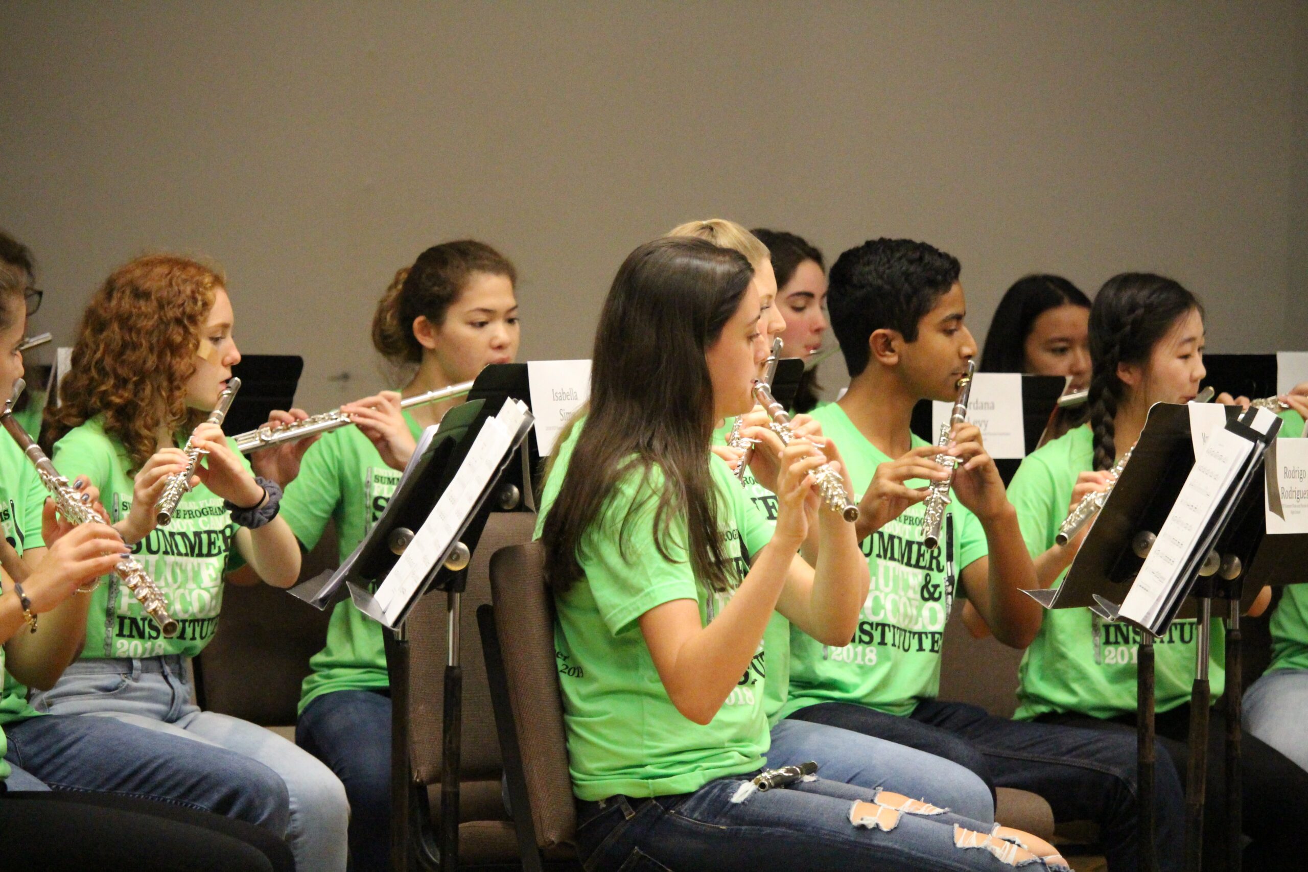 Image for Summer Flute & Piccolo Institute