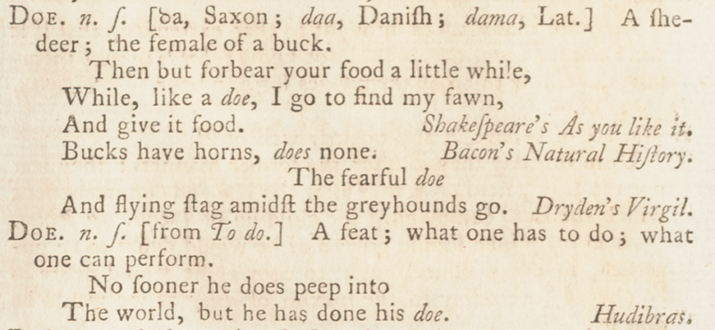 Homographs "Doe" and "Doe" shown as two separate entries.