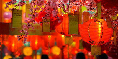 Paper lanterns and flowers