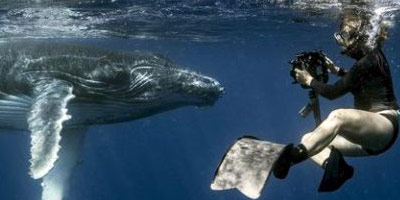 Woman in snorkeling gear photographs whale