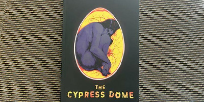 Cypress Dome journal cover
