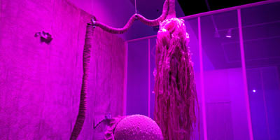 Art installation with pink-hued walls and fabrics